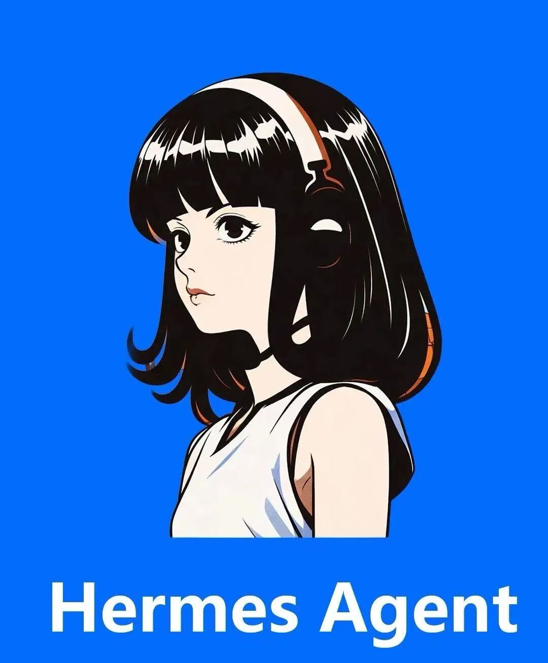 Hermes Agent